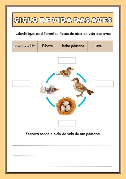 Ciclo de Vida das Aves