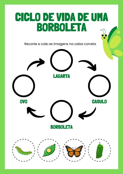 Ciclo de Vida de Uma Borboleta