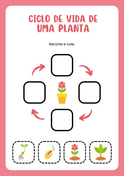 Ciclo de Vida de uma Planta