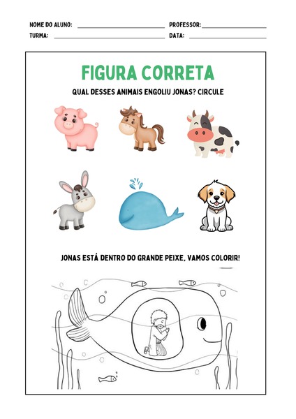 Figura Correta