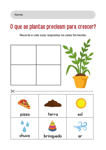 O que as Plantas Precisam para Crescer?