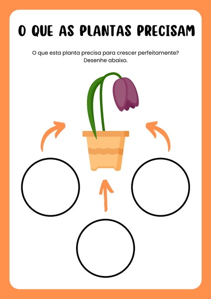 O que as Plantas Precisam v.2