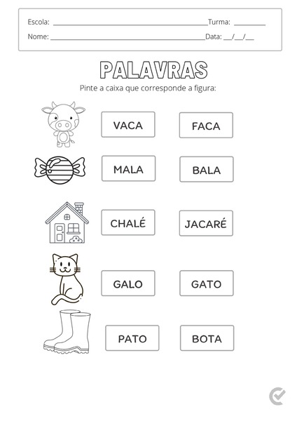 Palavras v.2