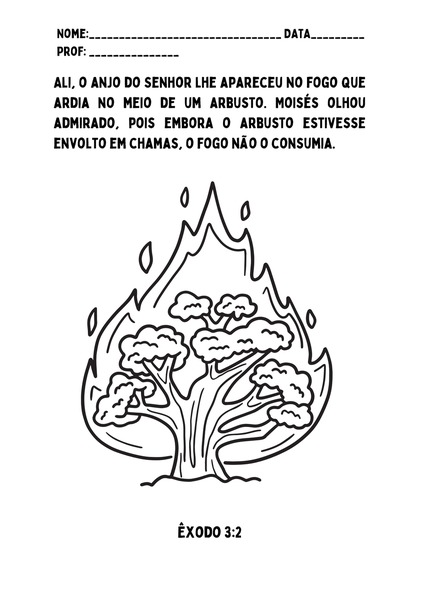 Para Colorir - Sarça Ardente