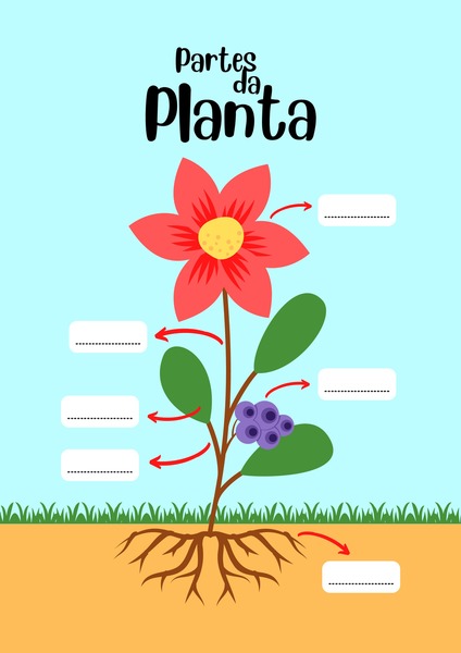 Partes da Planta v.2