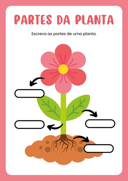 Partes da Planta