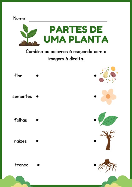 Partes de uma Planta