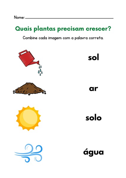 Quais Plantas Precisam Crescer?