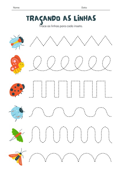Traçando as Linhas - Insetos